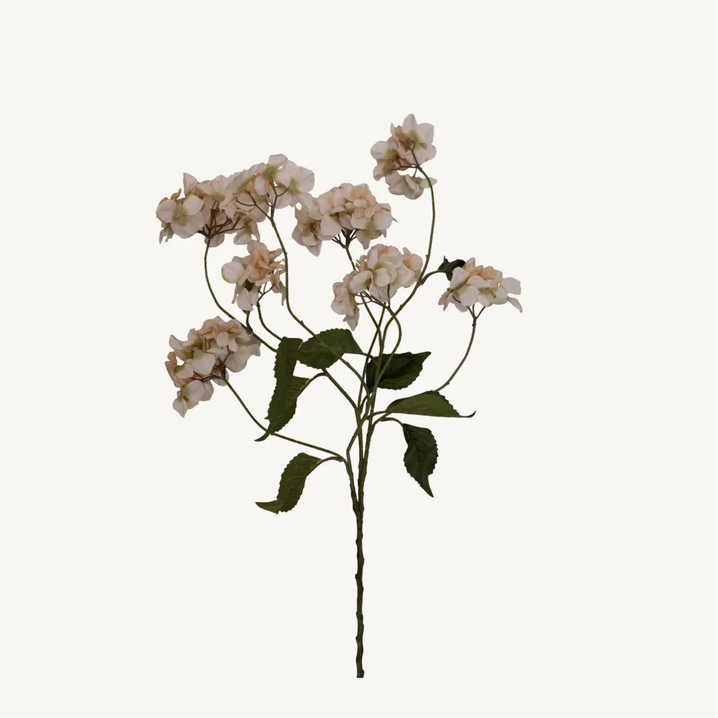 Fleurs
